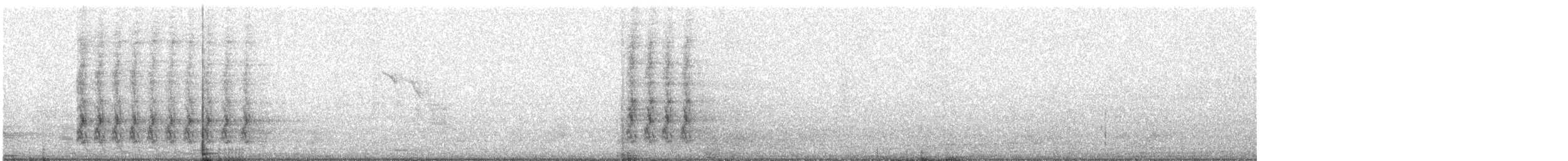 Steller's Jay - ML289087441