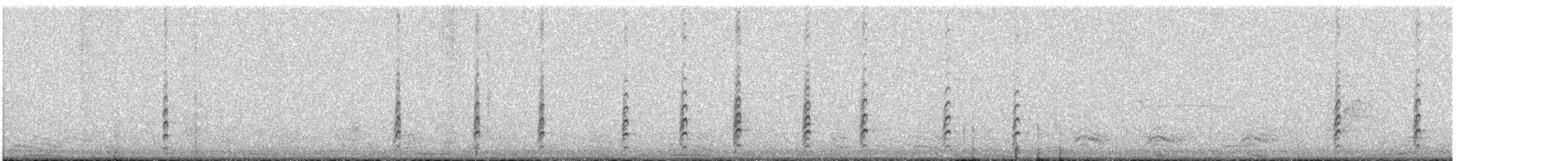 Black-necked Stilt - ML289087911