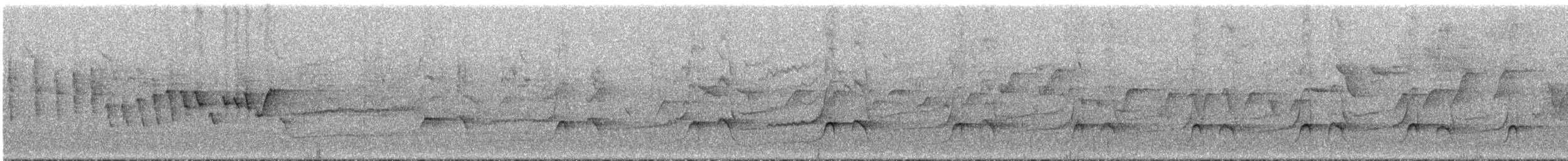 Толстоклювый мечник [группа promeropirhynchus] - ML289121
