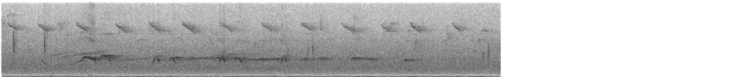 Толстоклювый мечник [группа promeropirhynchus] - ML289123