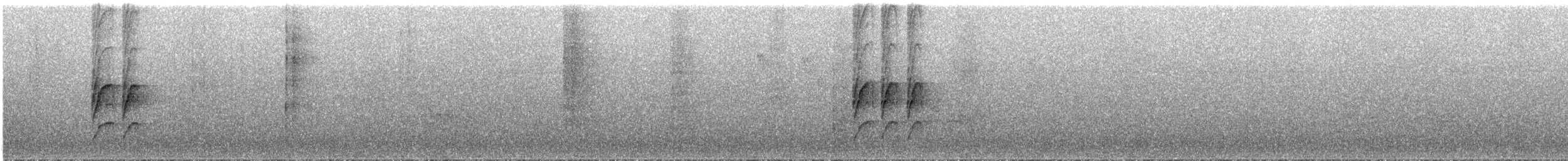 Merida Tapakolası (meridanus) - ML289128