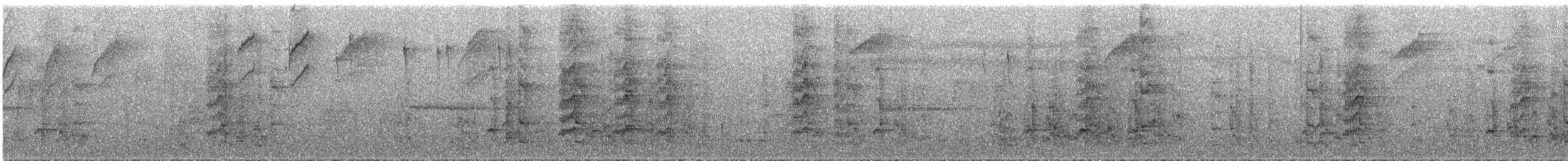 ズアカウロコインコ - ML289130