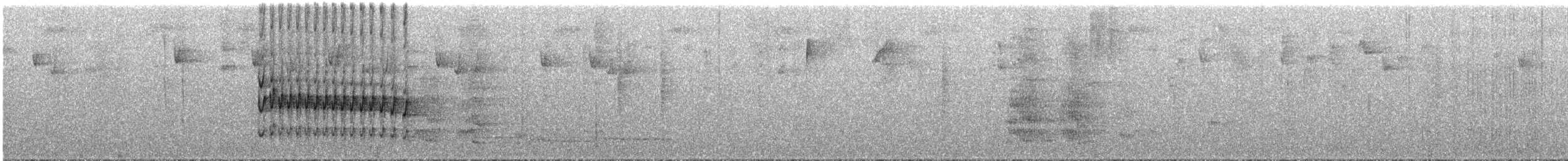 meridatapakulo (meridanus) - ML289132