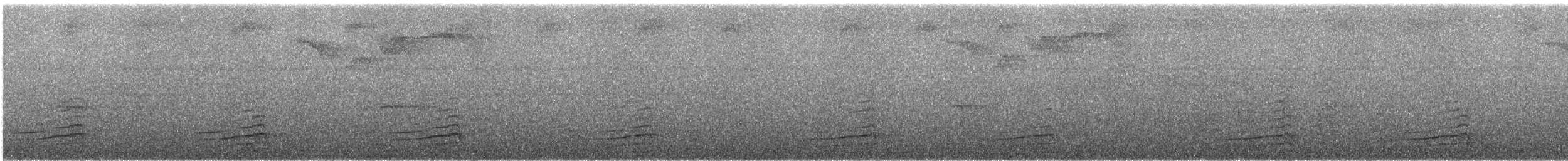 Toucan à bec noir - ML289149
