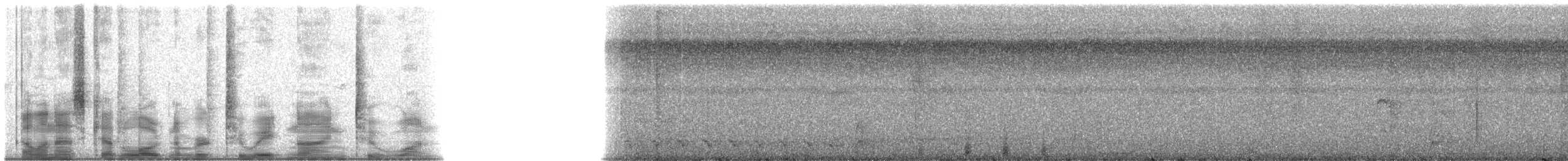 Augennachtschwalbe - ML28921