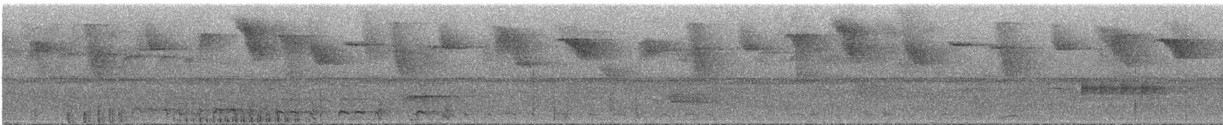 Band-tailed Guan - ML289211