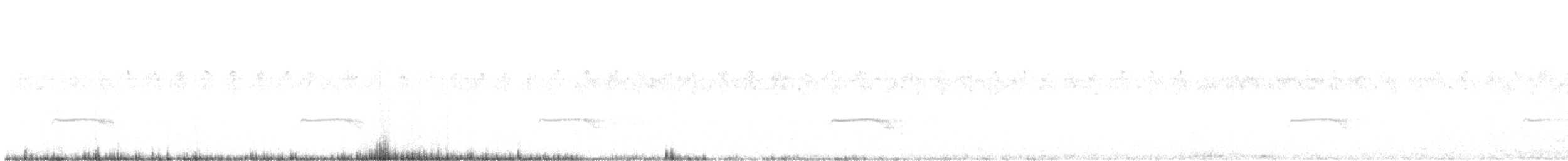 Атакамский козодой - ML289211211
