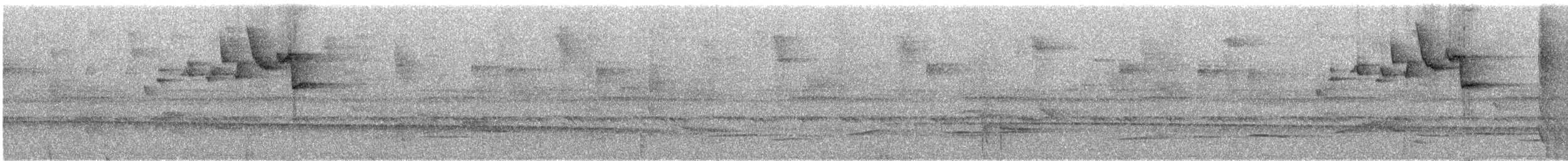 Серогрудый певун - ML289220