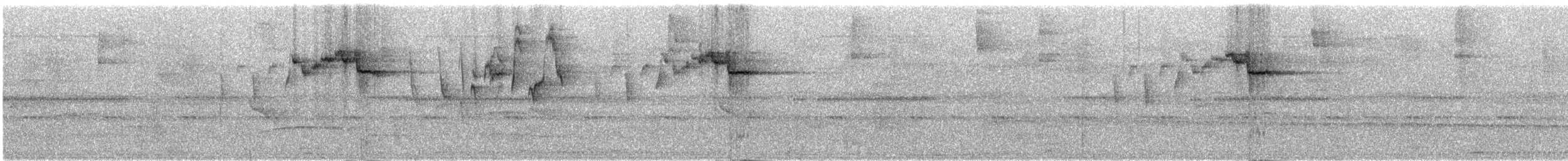 Серогрудый певун - ML289221