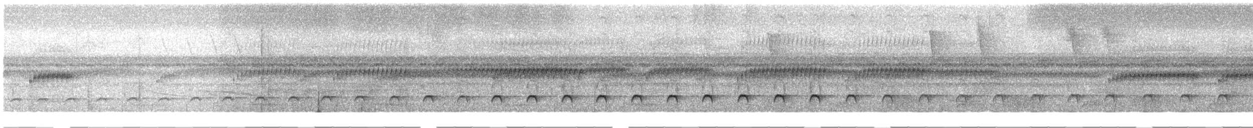 Rotschwanz-Glanzvogel (melanogenia) - ML289334061