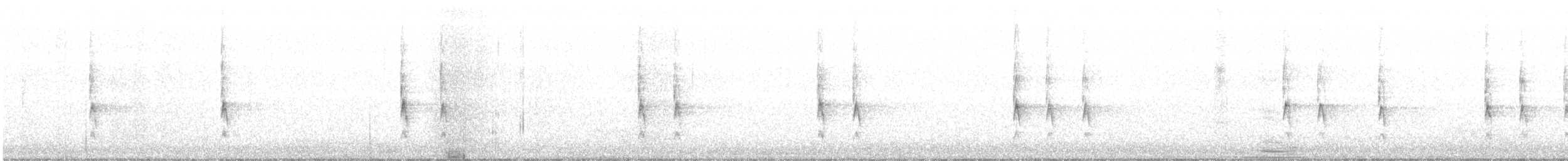 Winter Wren - ML289337381