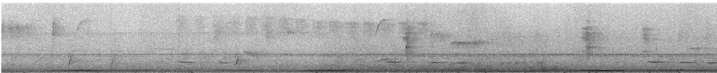 Weißgesichttaube - ML289435