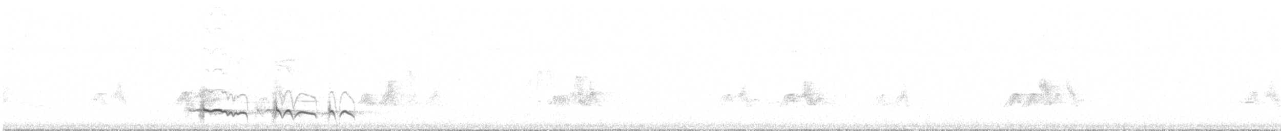 lenivka tečkovaná - ML289488011