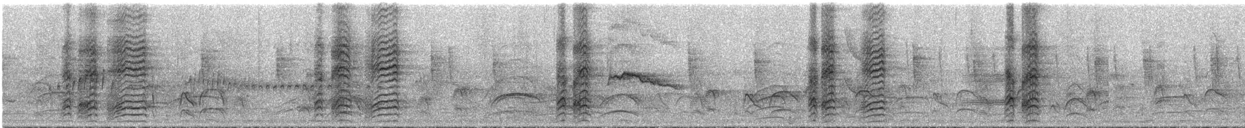 Troglodyte géant - ML289523