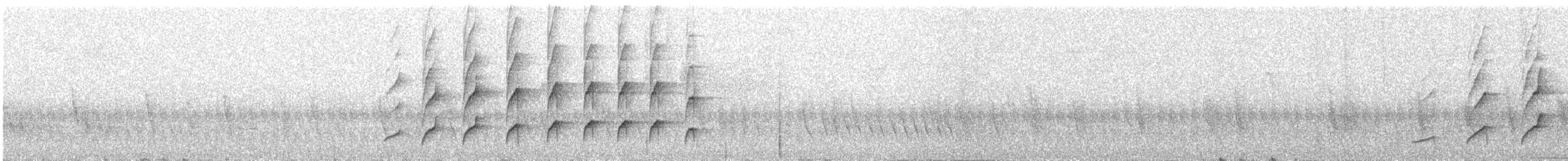 Kara Gerdanlı Todi Tiranı - ML289527161