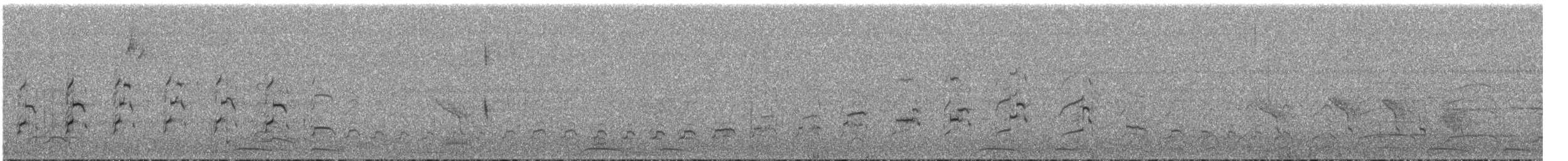 Common Black Hawk (Mangrove) - ML289550