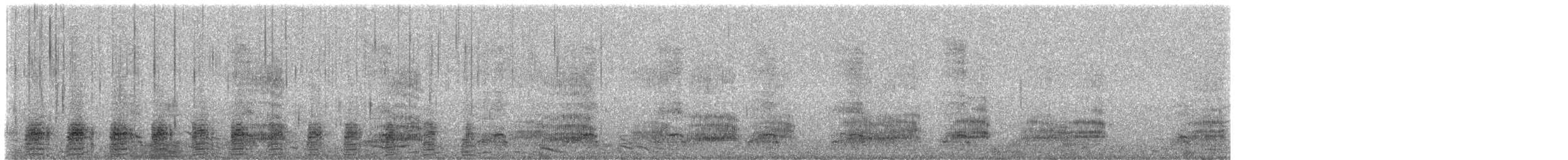 ברבר x ברכיה (בן כלאיים) - ML289639481