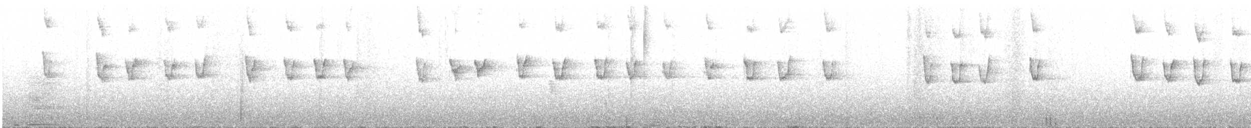 Thorn-tailed Rayadito - ML289649561