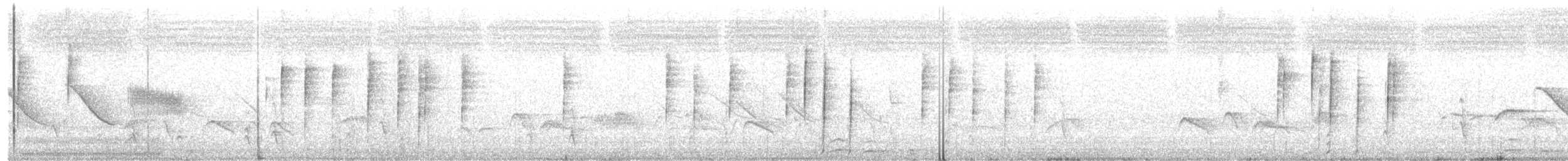 Schopfwachtel - ML289664531