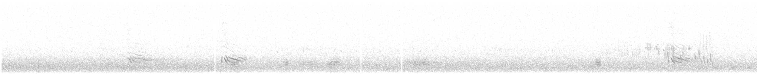 datel magellanský - ML289667711