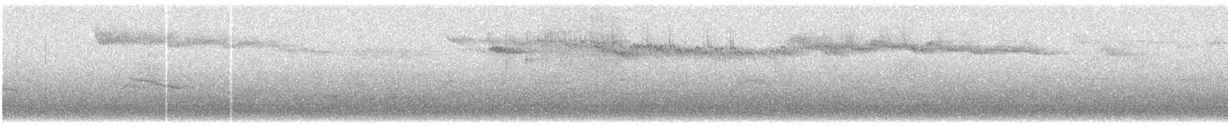 kolibřík chilský - ML289668941