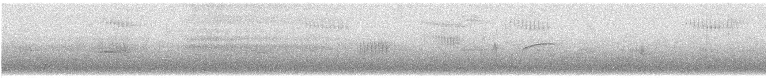 Patagonian Tyrant - ML289670261