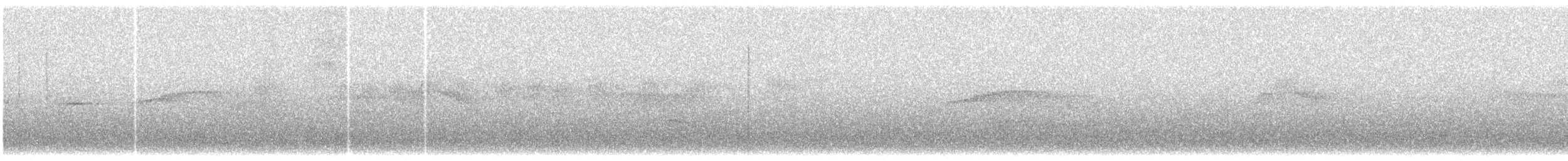 Patagonian Tyrant - ML289671431