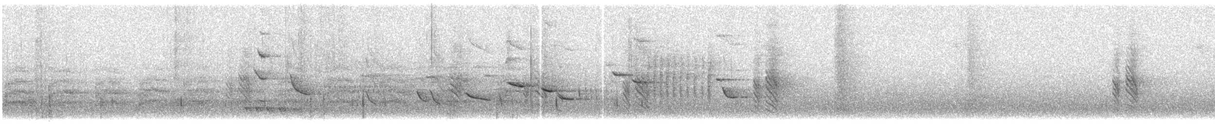 Austral Blackbird - ML289672711