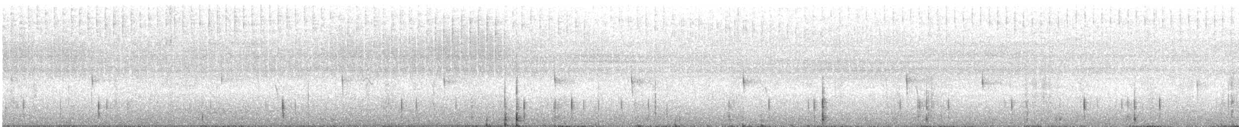 White-throated Treerunner - ML289674361
