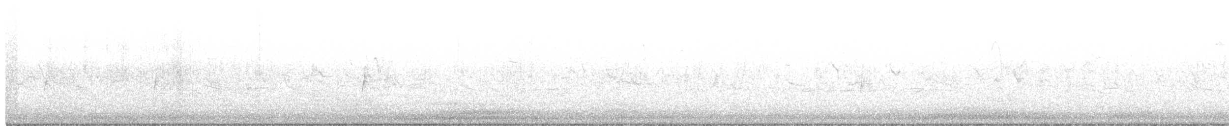 ネズミメジロハエトリ - ML289697881