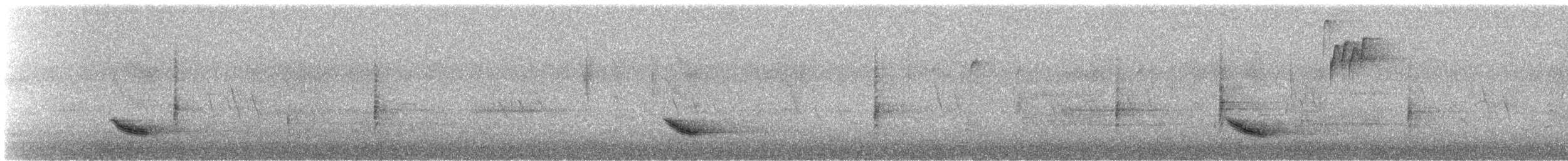 Дрізд-короткодзьоб бурий - ML28973611