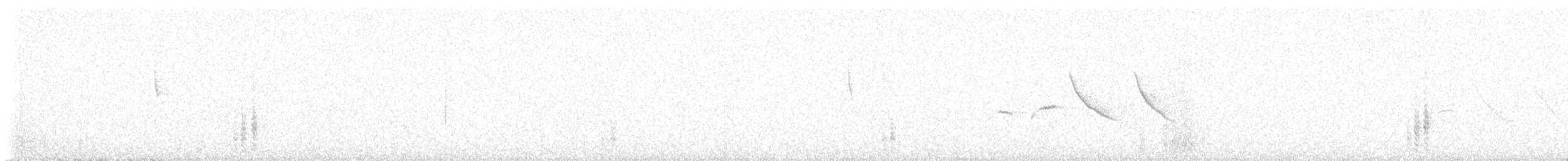 Патагонский курен - ML289744781