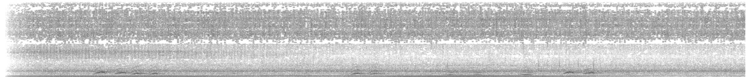 sovka štěkavá - ML289799241