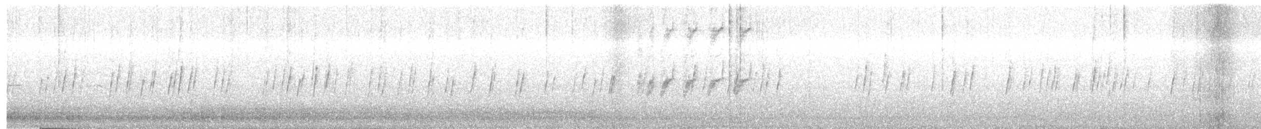 Paradoxornis de Webb - ML289807601