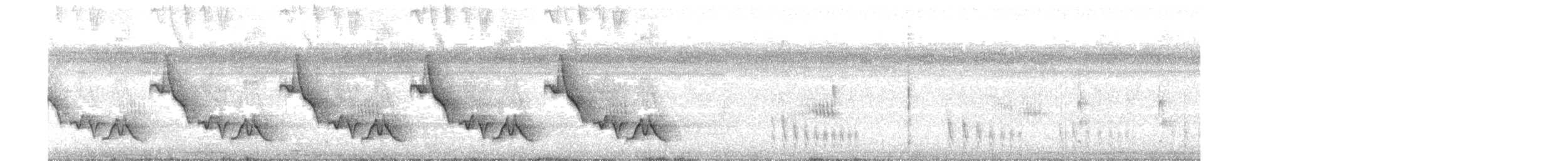 Troglodyte de Zeledon - ML289832501