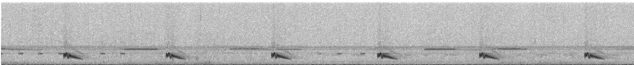 Ohrennachtschwalbe - ML289875