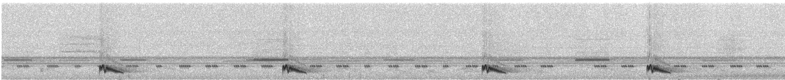 Ohrennachtschwalbe - ML289876