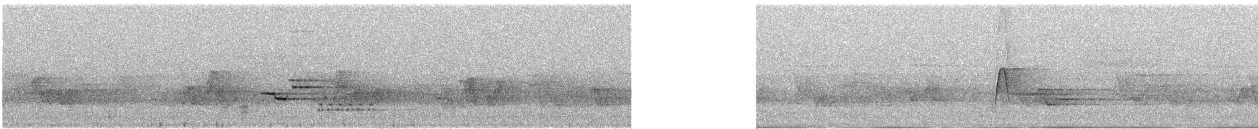 Wood Thrush - ML289928131