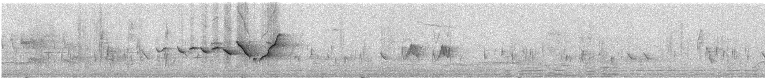 Paruline des rochers - ML289945