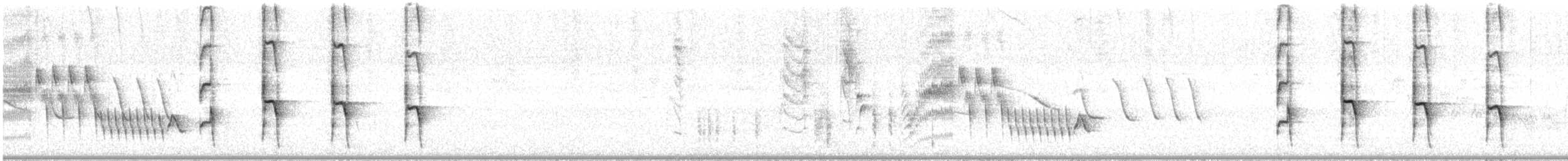 Пестрогрудый эспинеро - ML290020381