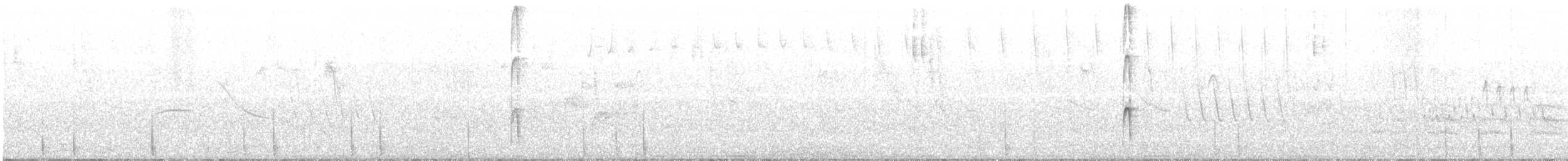 Striped Woodpecker - ML290033211