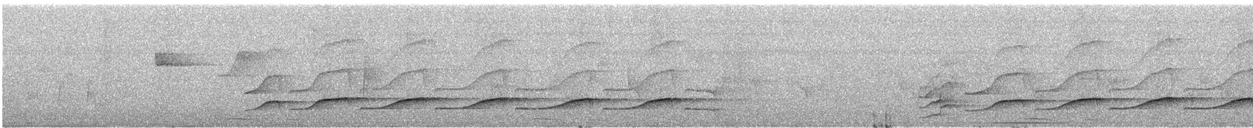 Gelbbürzel-Attilatyrann - ML290079