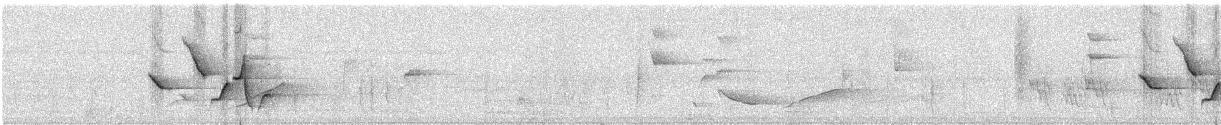 Гвианский крапивник [группа felix] - ML290156