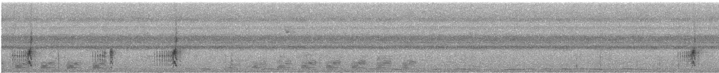 Fahlkehl-Schnäppertyrann - ML290165