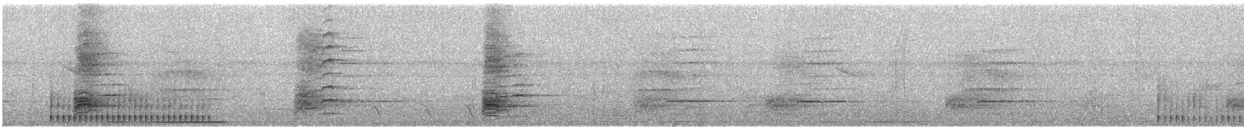 Дятел-смугань сіроголовий - ML290203