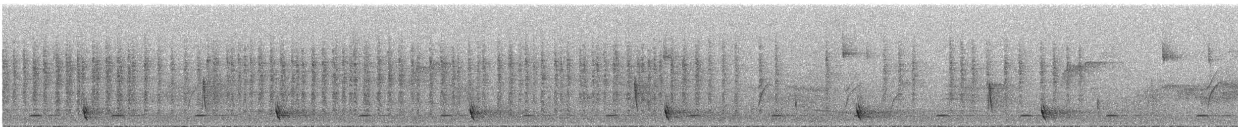 Сичик-горобець гірський (підвид gnoma) - ML290239
