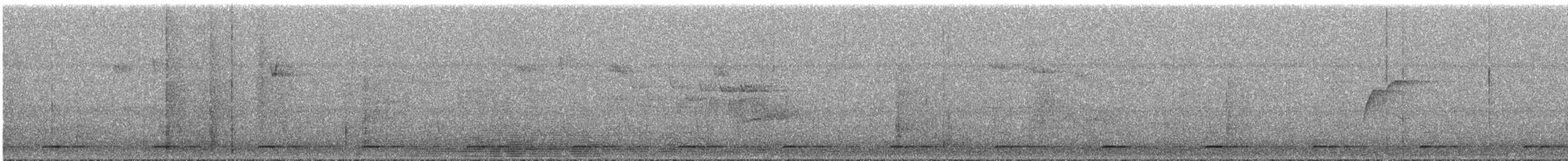Сичик-горобець гірський (підвид gnoma) - ML290241