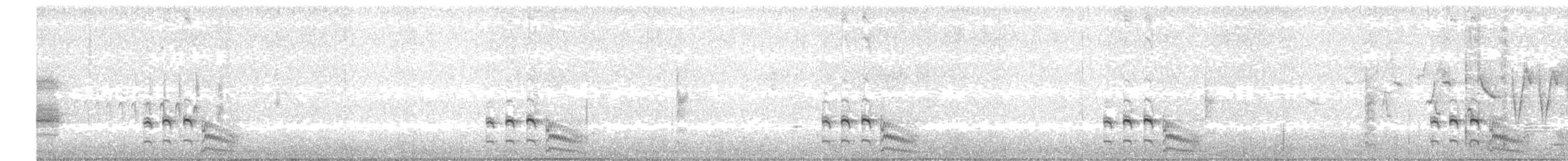 Polluela Negruzca - ML29031431