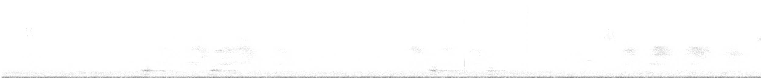 jay sp. - ML290337181