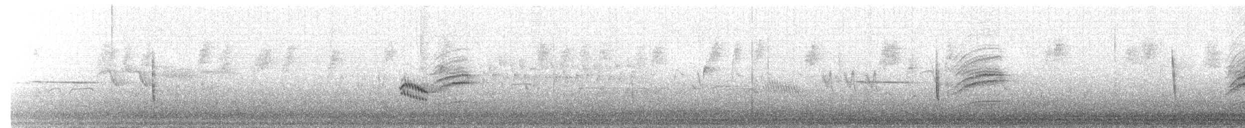 Einsiedler-Musendrossel - ML290375991
